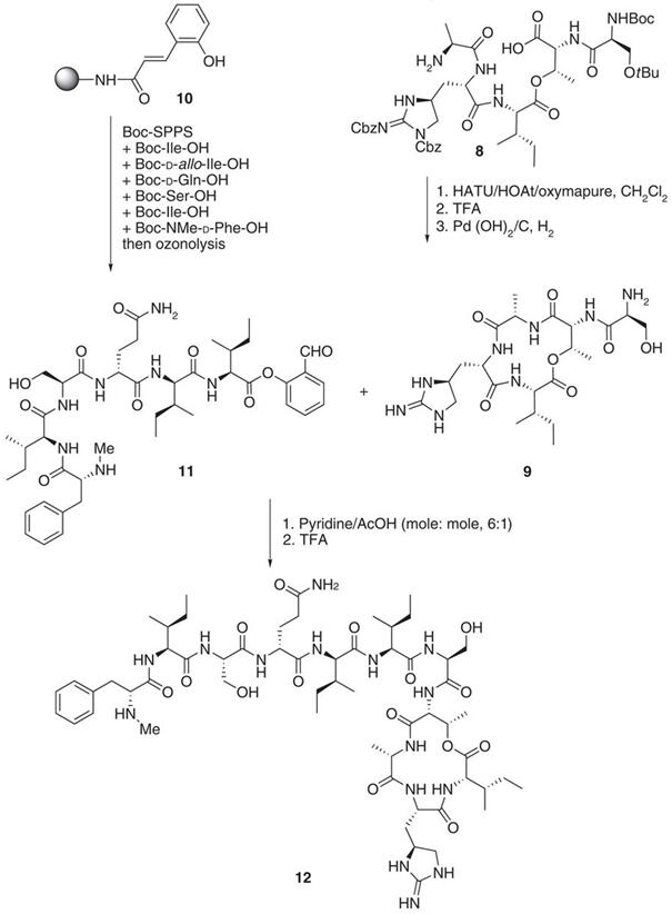 并以此为基础,开展了新一代达托霉素类抗菌药物的研发工作