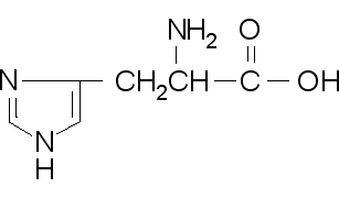 组氨酸结构式组成图片