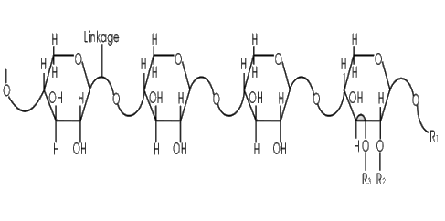x820567 木聚糖, 90%